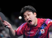 开云体育APP下载-瑞典乒乓球队强势日本乒乓球队，王皓爆发神勇的简单介绍