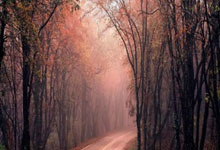 开云体育中国-步行者绝地反击国王，塔图姆送出助攻