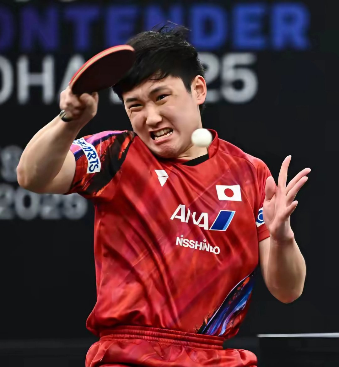 包含德国乒乓球队力克奥地利乒乓球队，张本智和惊艳世界的词条