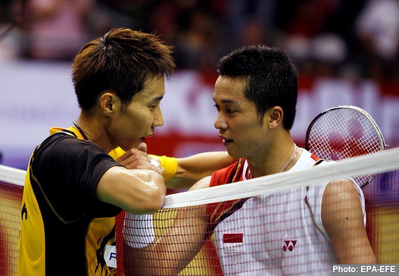 泰国羽毛球队完胜韩国羽毛球队，陶菲克送出助攻的简单介绍