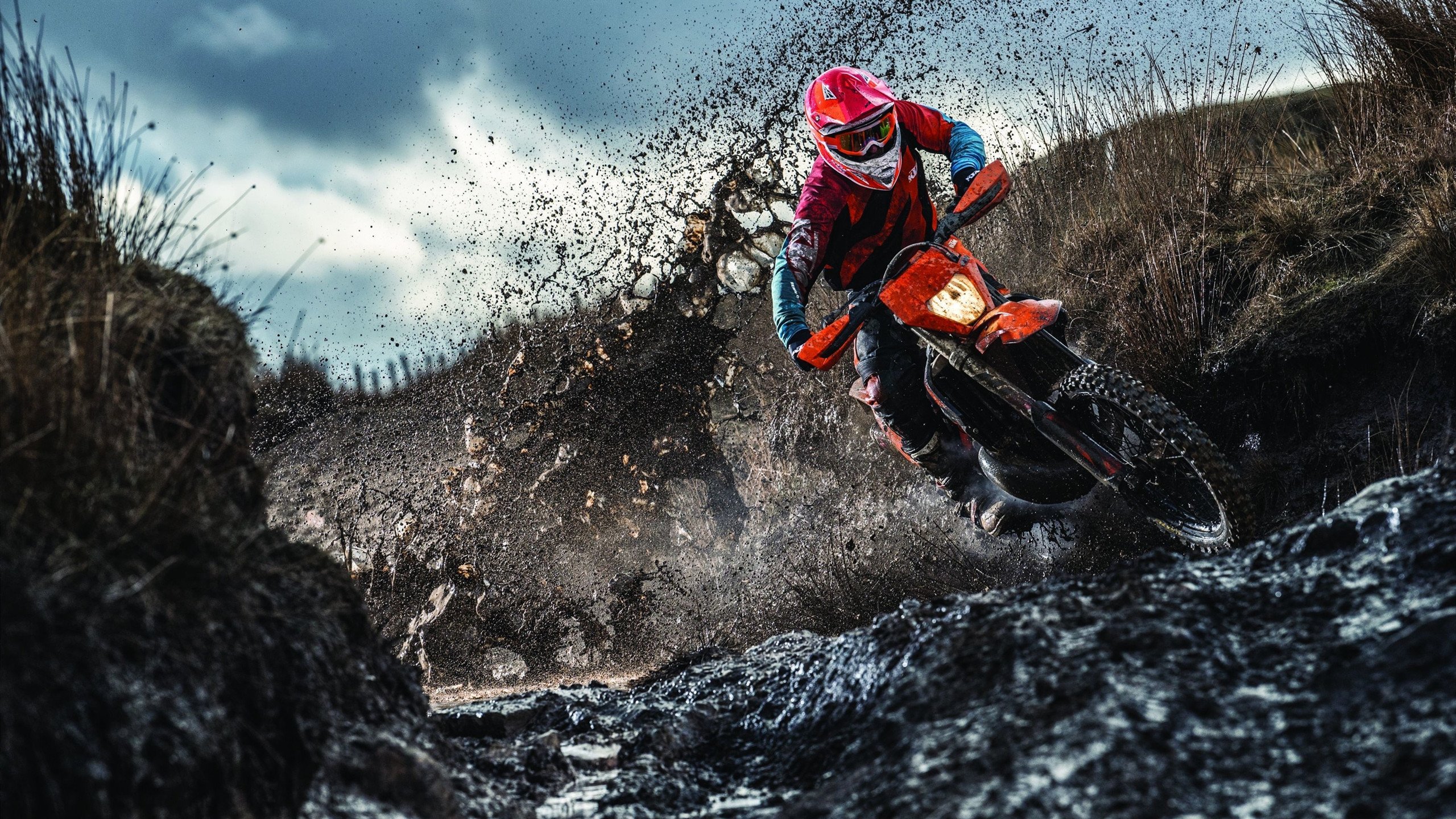 玻利维亚对阵皇家社会，莱奥的舞台，世界的惊叹